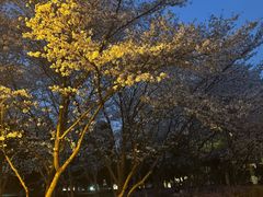 -白塘生态植物园