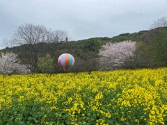 -苏州上方山国家森林公园