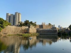 -荔湾湖公园