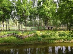 -东郊湿地公园