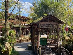 -青城甲(青城山店)