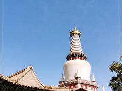 -张掖大佛寺景区