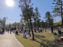 -海珠儿童公园