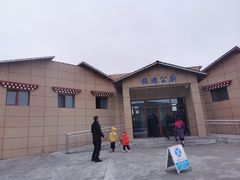 -郭莽湿地
