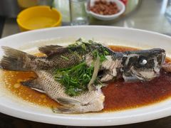 -八仔大富楼·河鲜(西江店)