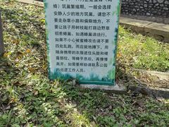 -金龙寺国家森林公园