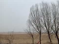 -花园口旅游区