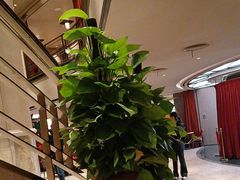 -上海人家花樣年华(中山公园店)