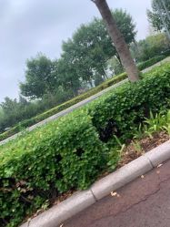 -HEYAN长风荷妍专业脱毛美肤
