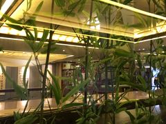 -大佛寺高级素食自助餐厅