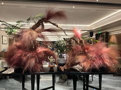 -南海渔村(珠江新城店)