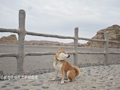 -哈密雅丹大海道景区