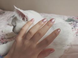 -丫丫NAIL日式自助美甲美睫沙龙