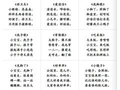 -澳洲袋鼠早教(南二环店)