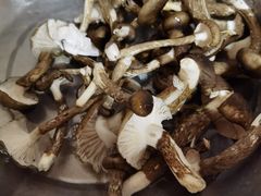 -牛羊鲜汤锅(塔公镇菜市场店)