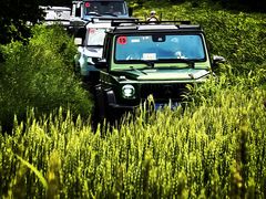 -莫尔道嘎国家森林公园