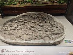 -辽宁古生物博物馆