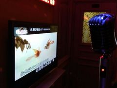 -INLOVE KTV(文一店)