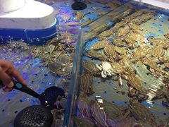 -澜悦港海鲜体验主题餐厅