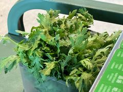 -椰庭·椰子鸡·创意玩家(晶耀前滩店)