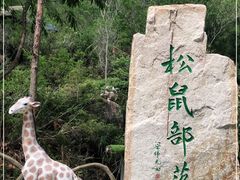 -汕尾铜鼎山旅游区