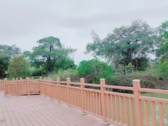 -海上田园