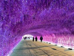 -绿野森林乐园冰雪季