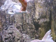 -多彩贵州城极地海洋世界