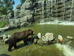 -北京野生动物园