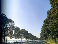 -船老大饭店(太滆街店)