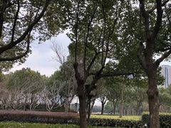-南翔镇银翔湖公园