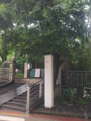 -深圳市儿童乐园