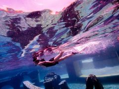 -上海玛雅海滩水公园