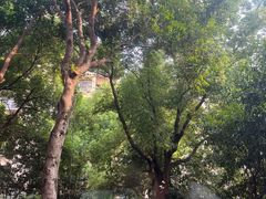 -双层巴士·鲜串鲜啤·团建聚会(凯德广场店)