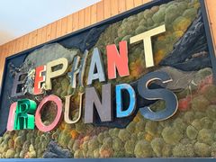 -Elephant Grounds(STARSTREET)