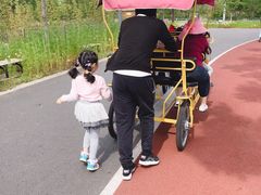 -上海长兴岛郊野公园