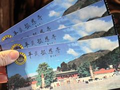 -报恩寺(平武县)