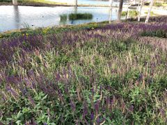 -水上乐园·欢乐世界