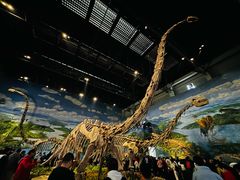 -自贡恐龙博物馆