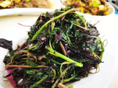 -天一沾水肥肠(科园一街店)
