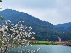 -广州市石门国家森林公园