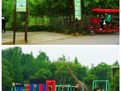 -上海长兴岛郊野公园