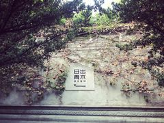 -日出青木