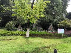 -菊花台公园