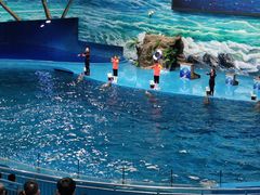 -多彩贵州城极地海洋世界