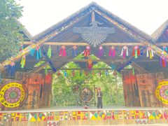 -西双版纳原始森林公园