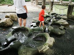-成都市活水公园
