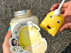 -初茶花月·重庆特产(大融城店)