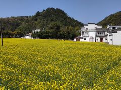 -绩溪龙川景区
