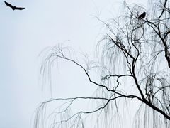 -北京动物园
